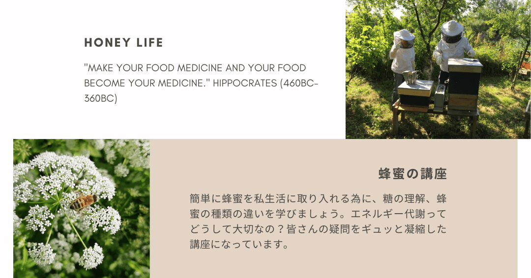 食の講座（環境編）.png